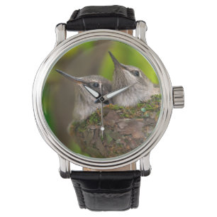 Kolibrifåglar unge armbandsur