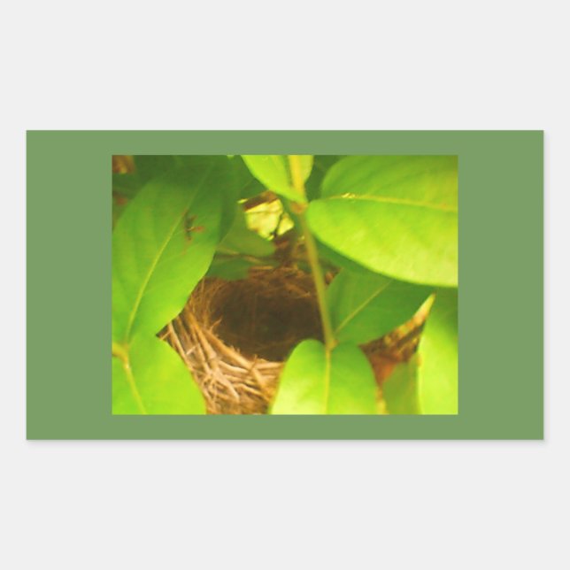 Kolibrifäste Rektangulär Klistermärke (Framsida)