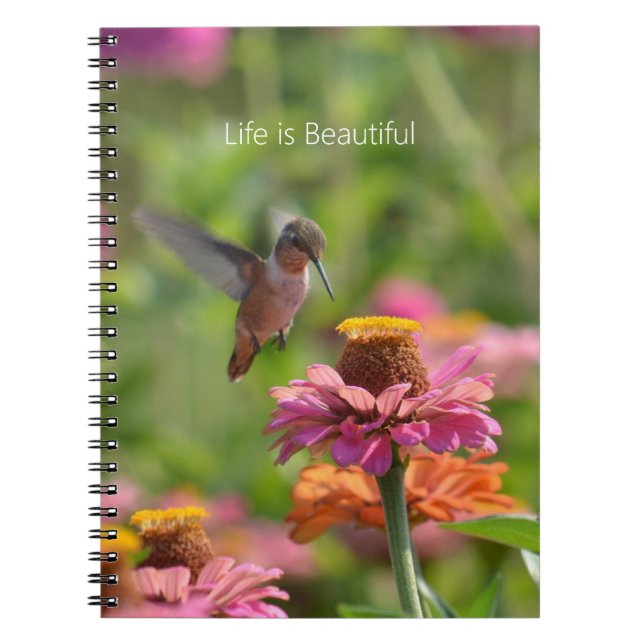 Kolibrins Zinnia-blommor (min fotografering) Anteckningsbok (Framsidan)