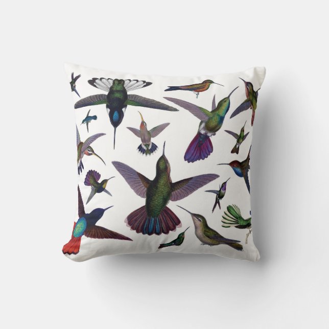 Kolibris kudde (Framsida)