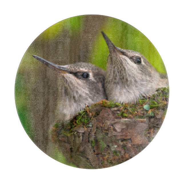 Kolibriungar (Framsidan)