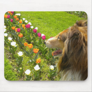 Kolie N Fler tulips-musknapp Musmatta