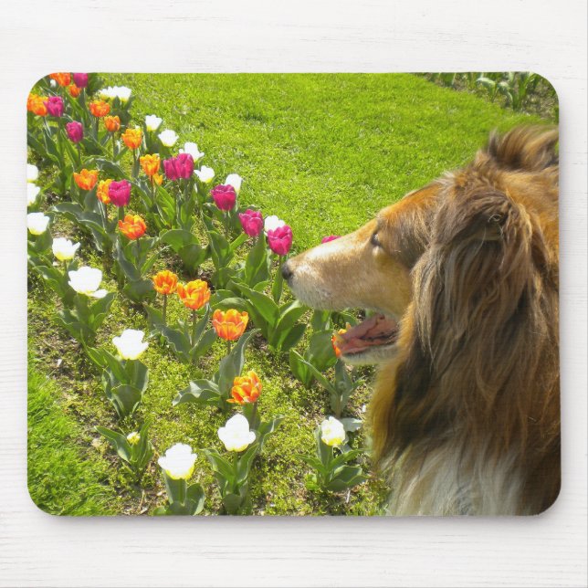 Kolie N Fler tulips-musknapp Musmatta (Framsidan)