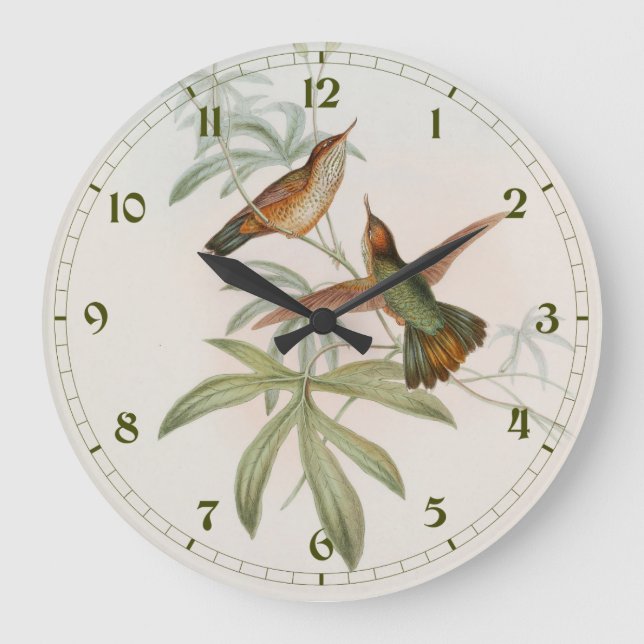 Koliktrupialkolibri av John Gould Stor Klocka (Framsida)