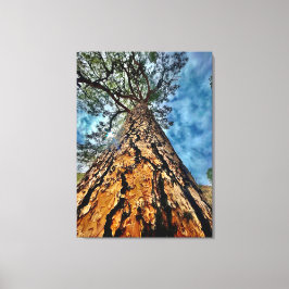 Kolla upp! canvastryck