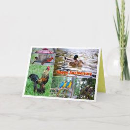 Kollage med fågelpar Lycklig årsdag Kort
