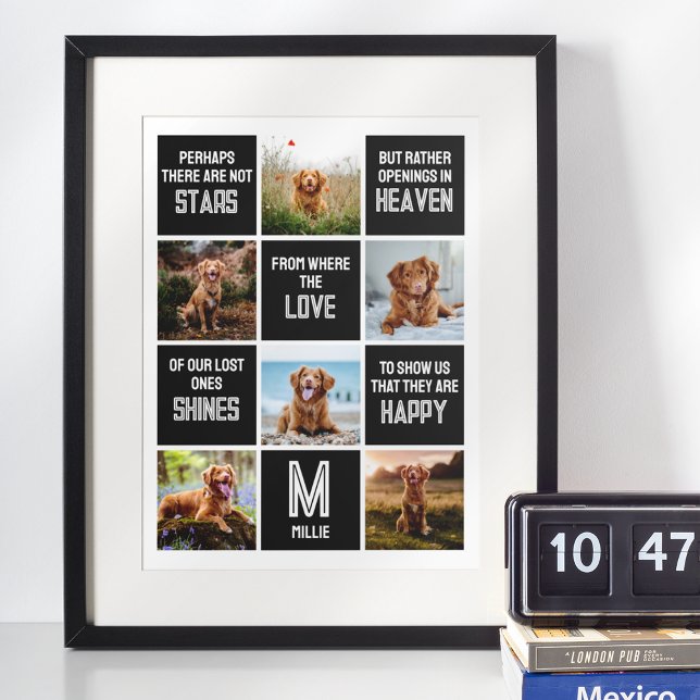 Kollage med minnesbild på husdjur poster (Skapare uppladdad)