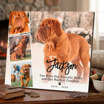 Kollage med minnesbilder för husdjur - till minne 
