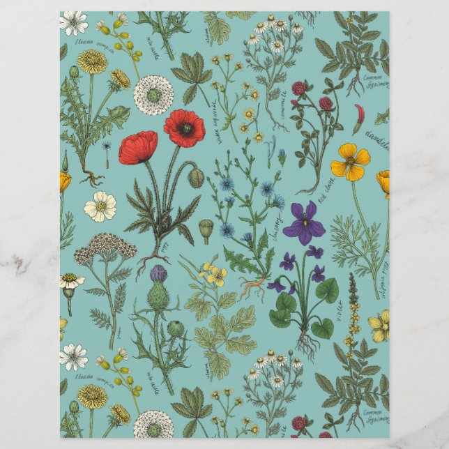 Kollage med vilda blommor på blå bakgrund (Framsida)