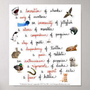 Kollektiva Nouns: poster