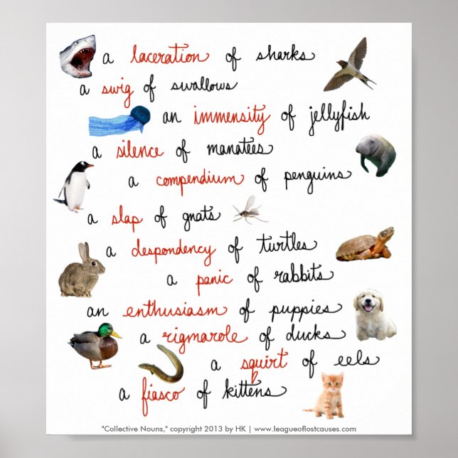 Kollektiva Nouns: poster (Framsidan)