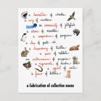 Kollektiva Nouns: vykort