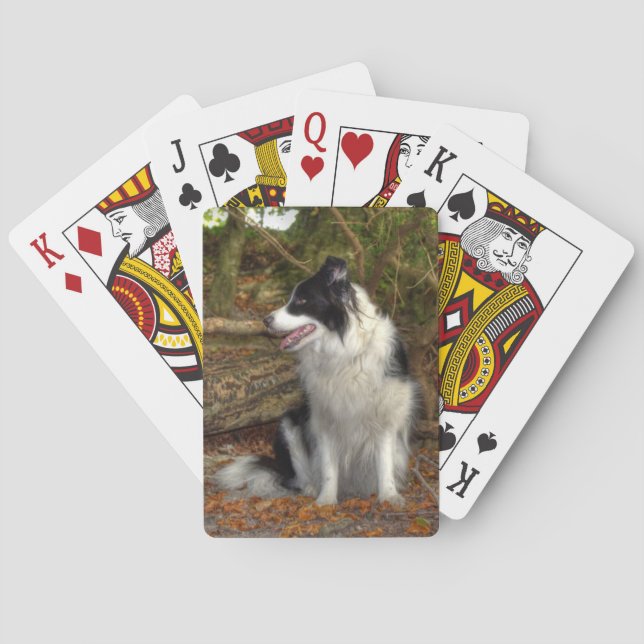 Kollie i skogen casinokort (Baksidan)