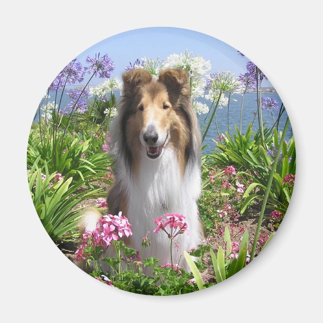 Kollie in Flowers Magnet (Framsidan)