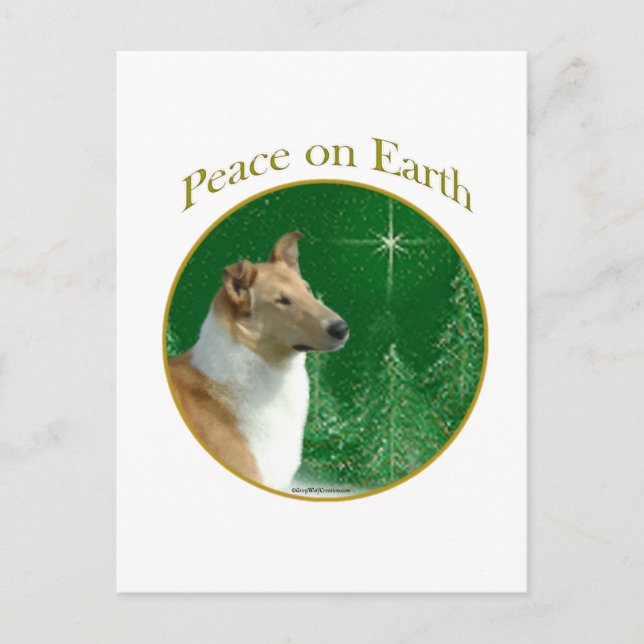 Kollie Peace on Earth Vykort (Framsida)
