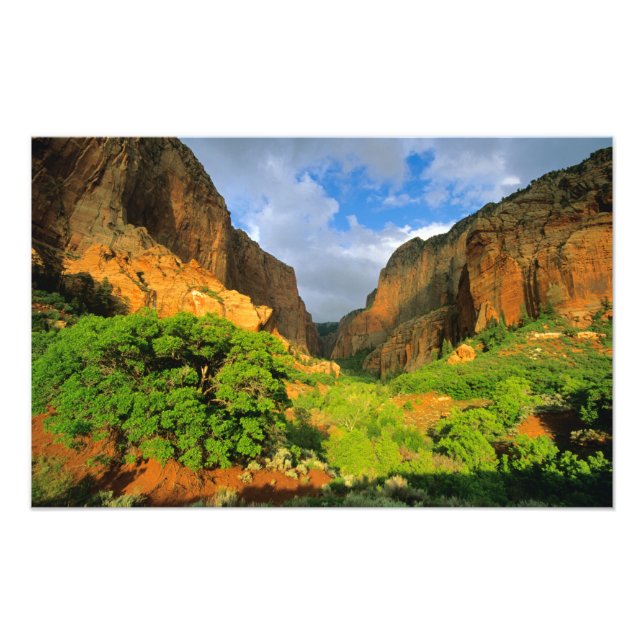Kolob Canyon på Zion Canyon i Zion National Fototryck (Framsidan)