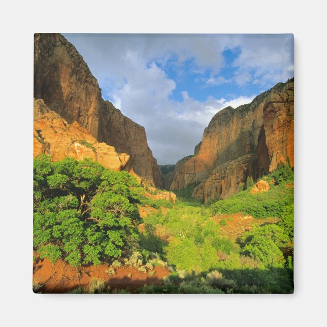 Kolob Canyon på Zion Canyon i Zion National Magnet (Framsidan)