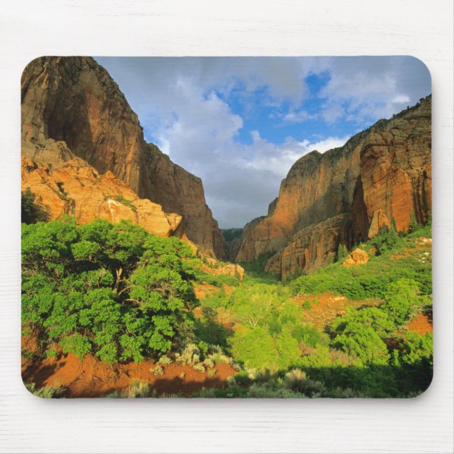 Kolob Canyon på Zion Canyon i Zion National Musmatta (Framsidan)
