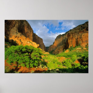 Kolob Canyon på Zion Canyon i Zion National Poster