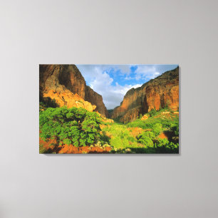 Kolob Canyon vid Zion Canyon i Zion National Canvastryck