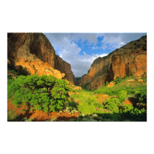 Kolob Canyon vid Zion Canyon i Zion National Fototryck