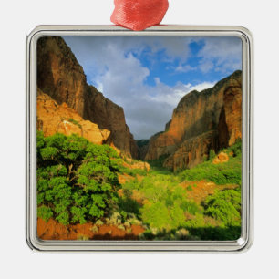 Kolob Canyon vid Zion Canyon i Zion National Julgransprydnad Metall