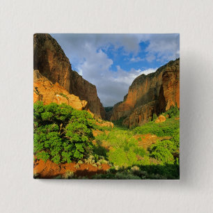 Kolob Canyon vid Zion Canyon i Zion National Knapp