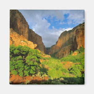 Kolob Canyon vid Zion Canyon i Zion National Magnet