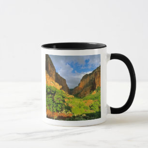 Kolob Canyon vid Zion Canyon i Zion National Mugg