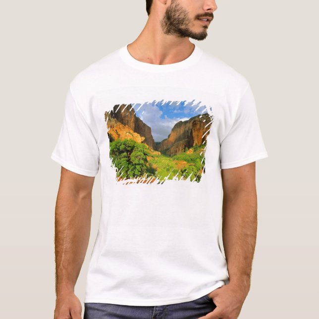 Kolob Canyon vid Zion Canyon i Zion National Tee (Framsida)