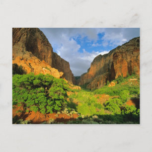 Kolob Canyon vid Zion Canyon i Zion National Vykort