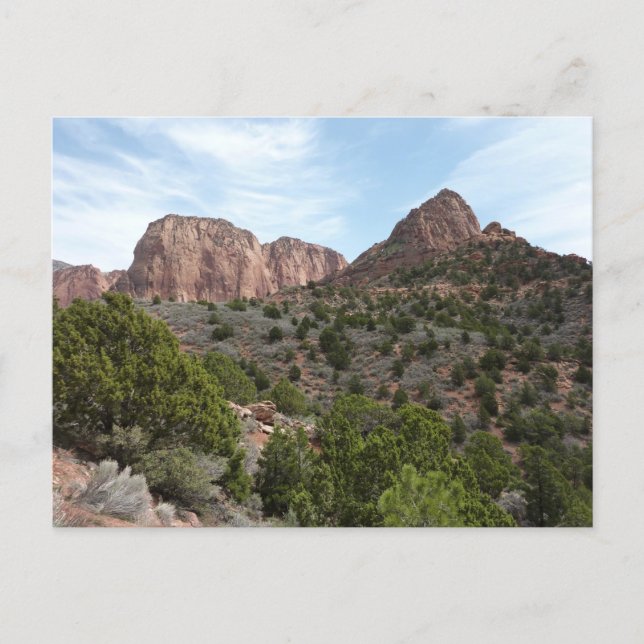 Kolob Canyons i Zion National Park Vykort (Framsida)