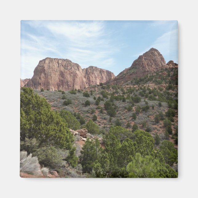 Kolob Canyons i Zion nationalpark Magnet (Framsidan)