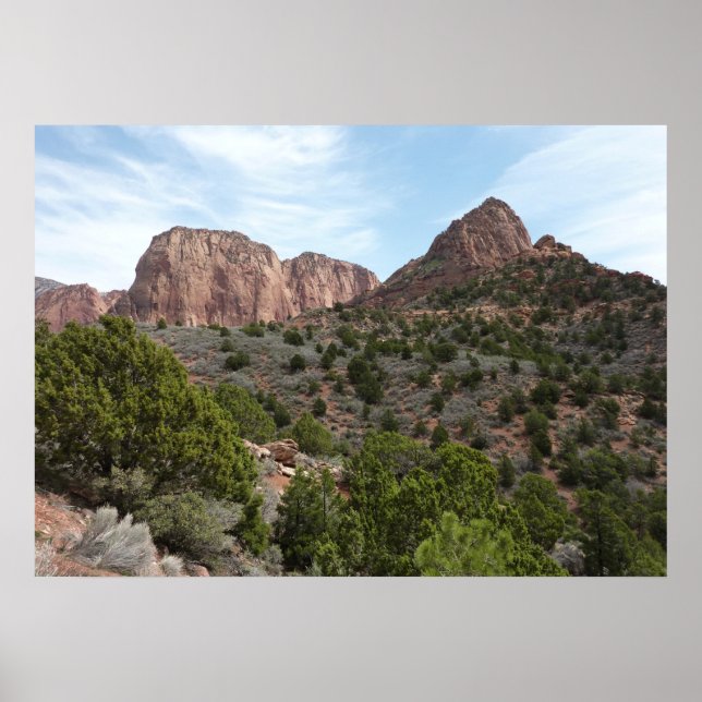 Kolob Canyons i Zion nationalpark Poster (Framsidan)