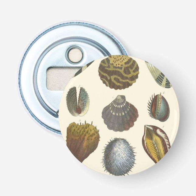 Kologsamling Flasköppnare (Framsidan)