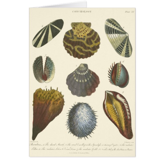 Kologsamling Hälsningskort (Framsidan)