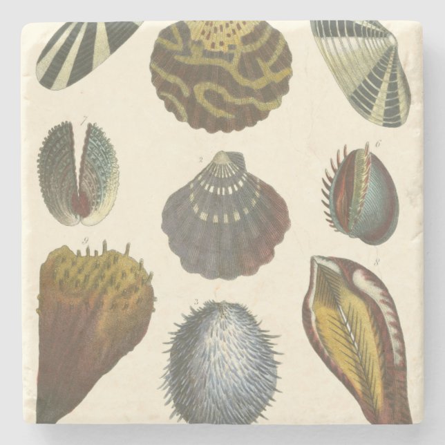 Kologsamling Stenunderlägg (Framsidan)