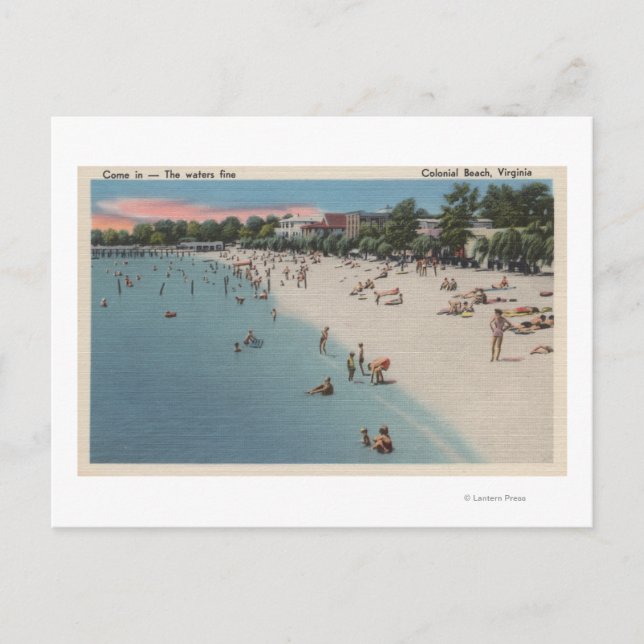 Kolonial Beach, VA - Sunbad & Swimming Scene Vykort (Framsida)