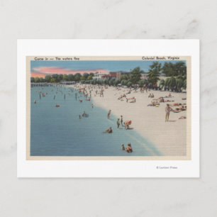 Kolonial Beach, VA - Sunbad & Swimming Scene Vykort