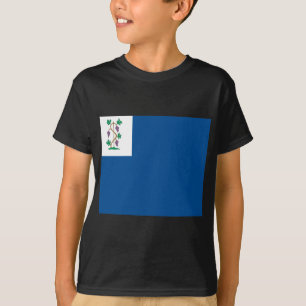 Kolonial Privateerflagga (Connecticut den sjö- Tee