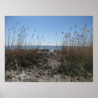 Kolonialområde 1 poster