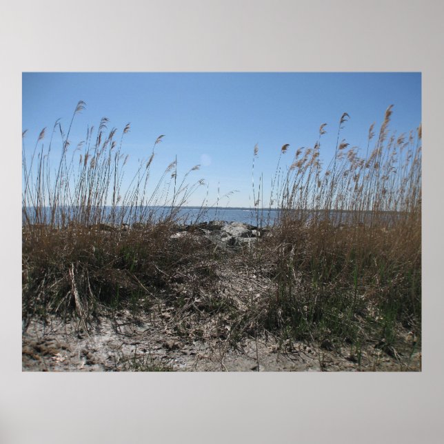 Kolonialområde 1 poster (Framsidan)