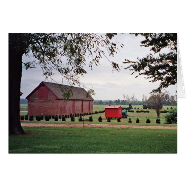 Koloniängkort Hälsningskort (Framsidan Horizontal)