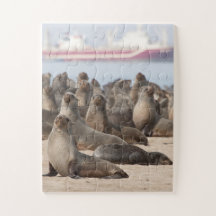 Kolonin Cape Päls Sälar