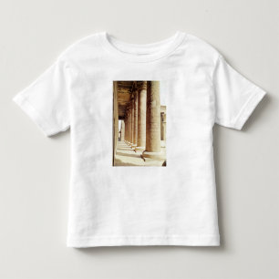 Kolonner i Pronaosen av tempelet av Horus Tee Shirt