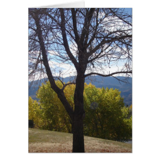 Kolorado Autumn-kort (tomt) Hälsningskort