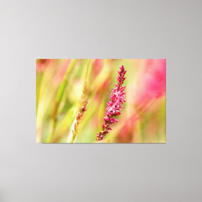 kolorbush canvastryck (Framsida)