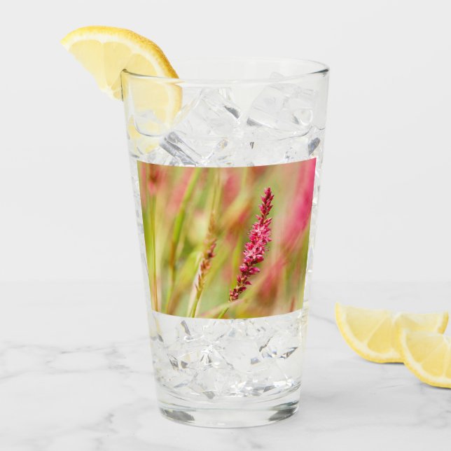 kolorbush glaskopp (Framsida Ice)