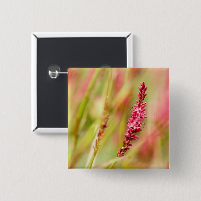 kolorbush knapp (Framsida & baksida)