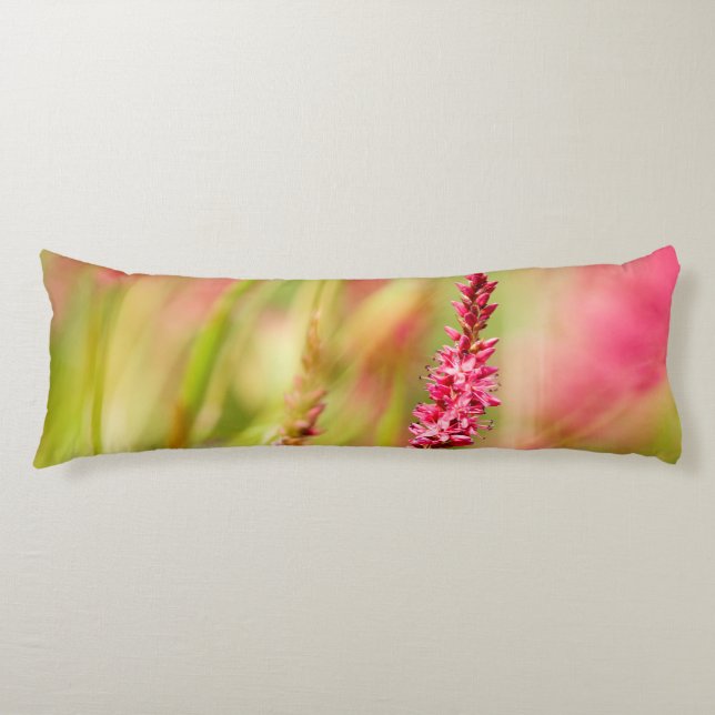 kolorbush kroppskudde (Framsidan)